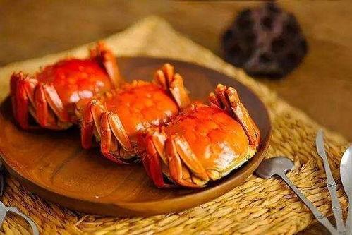 吃螃蟹可以吃黑密瓜吗,美味搭配的饮食探索