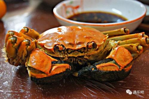 吃螃蟹可以吃黑密瓜吗,美味搭配的饮食探索