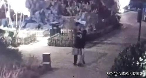 黑粉吃瓜视频完整版,完整版事件始末深度解析