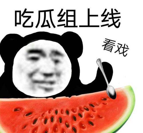 尔晴没吃饱吃瓜黑料,揭秘娱乐圈的“黑料”盛宴