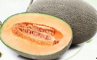 吃哈密瓜会卡黑便吗,哈密瓜摄入与黑便现象关联探讨