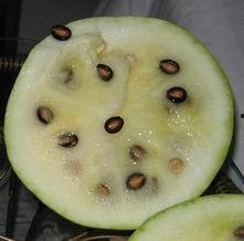 麒麟瓜该不该有黑籽吃,该不该食用？营养与健康的探讨