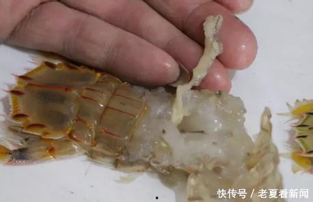 黑壳虾吃小瓜虫卵吗,黑壳虾对小瓜虫卵的摄食行为探究