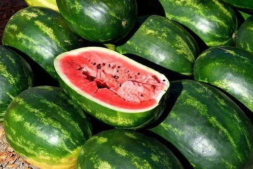 黑鸡瓜怎么吃才好吃图片,解锁独特口感与风味